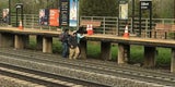 Dieses Foto birgt ein abscheuliches Verbrechen