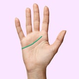 Handl