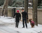 Amanda Seyfried & Justin Long gehen mit Hund Gasse