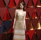 Stars am red Carpet der Oscars 2017