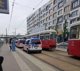 Crash mit Straßenbahn in Wien - Frau (29) ringt mit dem Tod