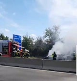 Pkw brennt lichterloh auf S2 in Wien