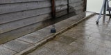 Outdoor-Adapter für schnelles WLAN im Test