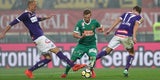 Austria Rapid