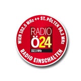 Wer hat das schmutzigste Auto Österreichs?