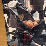 Paar geht mit Fuchs in Wien spazieren