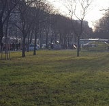 Bim erfasst Frau Wien-Margareten
