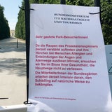 Gift-Raupen Wien