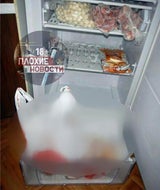 Russin tötet Freund und zerstückelt ihn