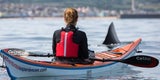 Hai-Alarm vor der britischen Küste