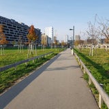 Das iPhone X im großen oe24.at-Test