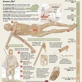 Ötzi GRAFIK
