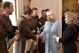 Herzogin Camilla bei den Lipizzanern