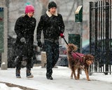 Amanda Seyfried & Justin Long gehen mit Hund Gasse