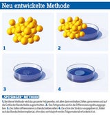 Speisinger Methode