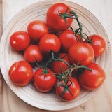 Tomaten