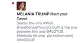 Melania Trumps Twitter-Desaster