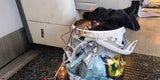 London-Terror: IS bekennt sich zu Anschlag