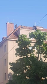 Straftäter flüchtete auf Dach: Festnahme