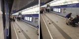 Rätsel um herabstürzende Hauptbahnhof-Teile gelöst