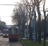 Bim erfasst Frau Wien-Margareten