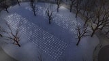 Österreicher erleuchtet New Yorker Park mit Hunderten LED-Lichtern