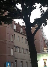 Straftäter flüchtete auf Dach: Festnahme