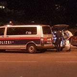 Wildschweinjagd in Wien