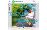 Bei WhatsApp wird jetzt alles neu