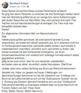 Wo sie in Österreich Angst vor Giftspinnen haben müssen