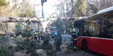 Umfallender Baum trifft Wiener Bus