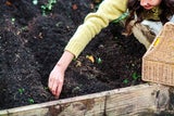 Diese Arbeiten im Garten sollten Sie jetzt unbedingt erledigen