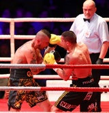Nader besiegte Knezevic im 'Kampf um Wien'