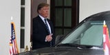 Trump Kurz Daumen