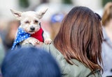 Wooferendum