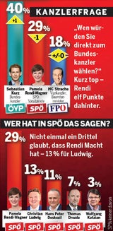 Erstes Umfrage-Minus für SP & Rendi