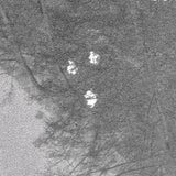 Einbrecher nach Heli-Jagd geschnappt