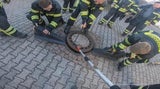 Tierretter 'schraubten' Ratte aus Kanaldeckel