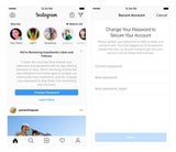 Instagram-Stars mit vielen Fake-Followern