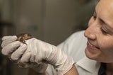 Der einsamste Frosch der Welt hat nun eine Julia