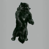 Fotografin lässt die Hunde fliegen