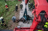Nach Reit-Unfall: Feuerwehr musste Pferd aus Fluss retten