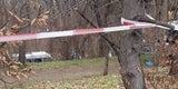 Mord-Alarm in Wr. Neustadt: 16-Jährige getötet