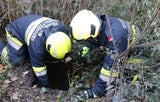 Feuerwehr rettete Hund aus Brunnenschacht