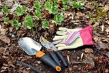 Diese Arbeiten im Garten sollten Sie jetzt unbedingt erledigen