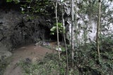 Homo luzonensis