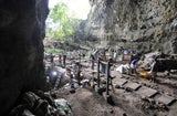 Homo luzonensis