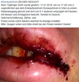 15-Jähriger beim Donauzentrum brutal verprügelt