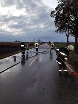 Tödlicher Unfall: Pkw prallte gegen einen Baum