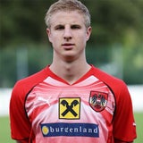 Wer war der beste ÖFB-Teamspieler 2014?